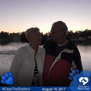 Meet your Posher, Barbara